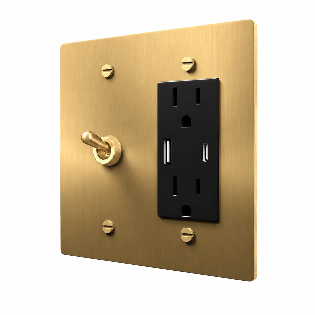 Brass 2-gang retro toggle and USB-C outlet combination plate