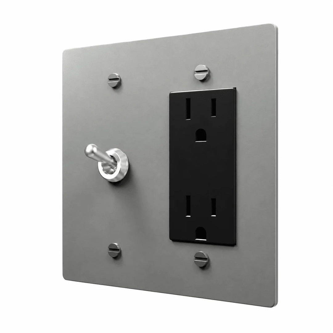 Stainless Steel 2-gang retro toggle and Regular outlet combination plate