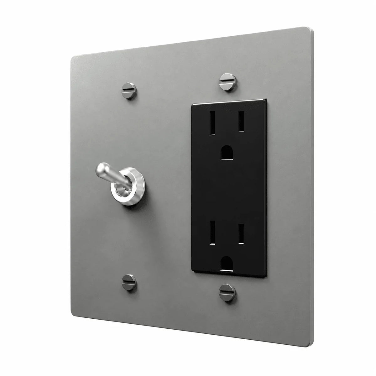 Stainless Steel 2-gang retro toggle and Regular outlet combination plate