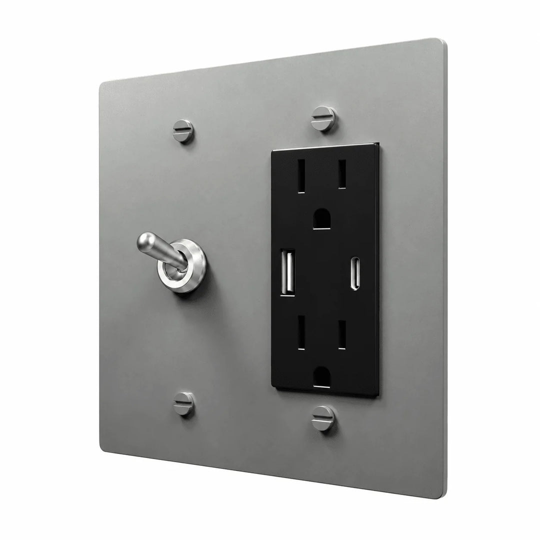 Stainless Steel 2-gang retro toggle and USB-C outlet combination plate