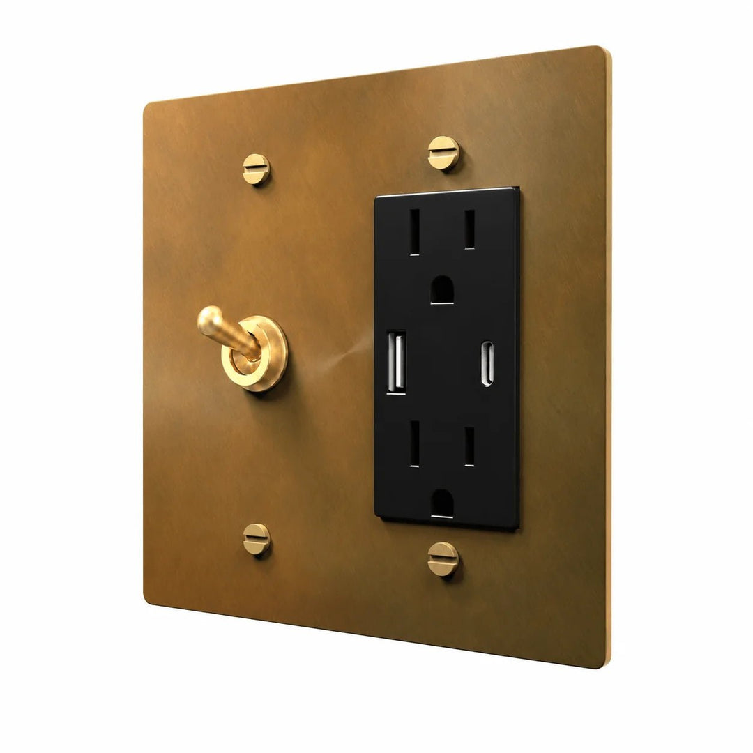 Unlacquered Aged brass 2-gang retro toggle and USB-C outlet combination plate