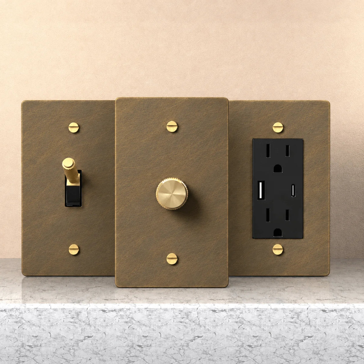 PlatePrestige aged brass hardware sample kit with matching brushed plates, brass toggle and dimmer, and black USB outlet