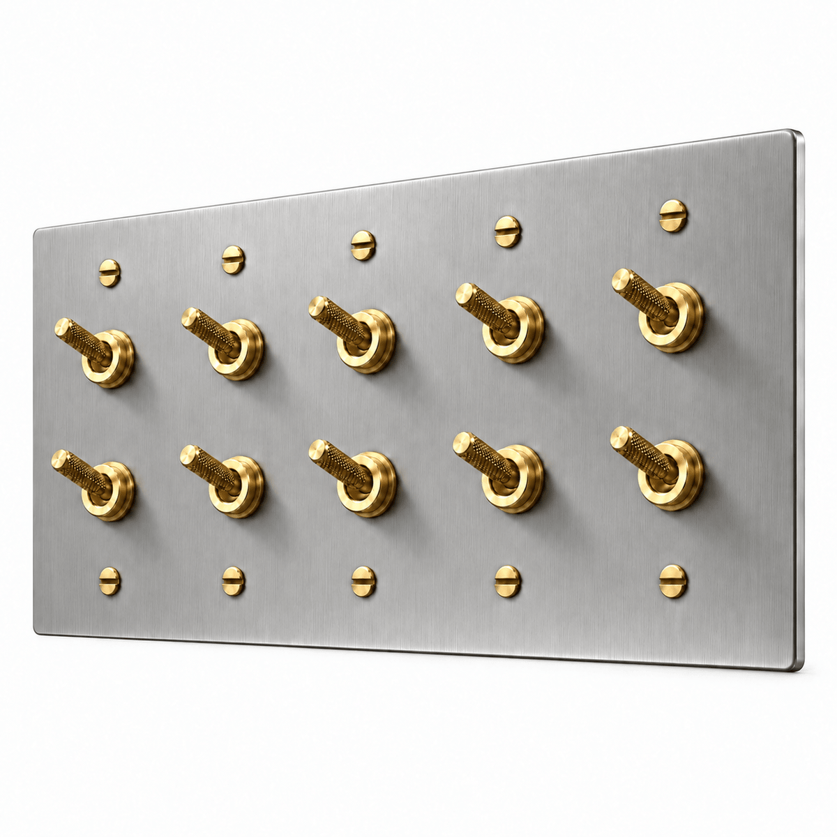 PlatePrestige Double Knurled Toggle Light Switch in Stainless Steel / Brass