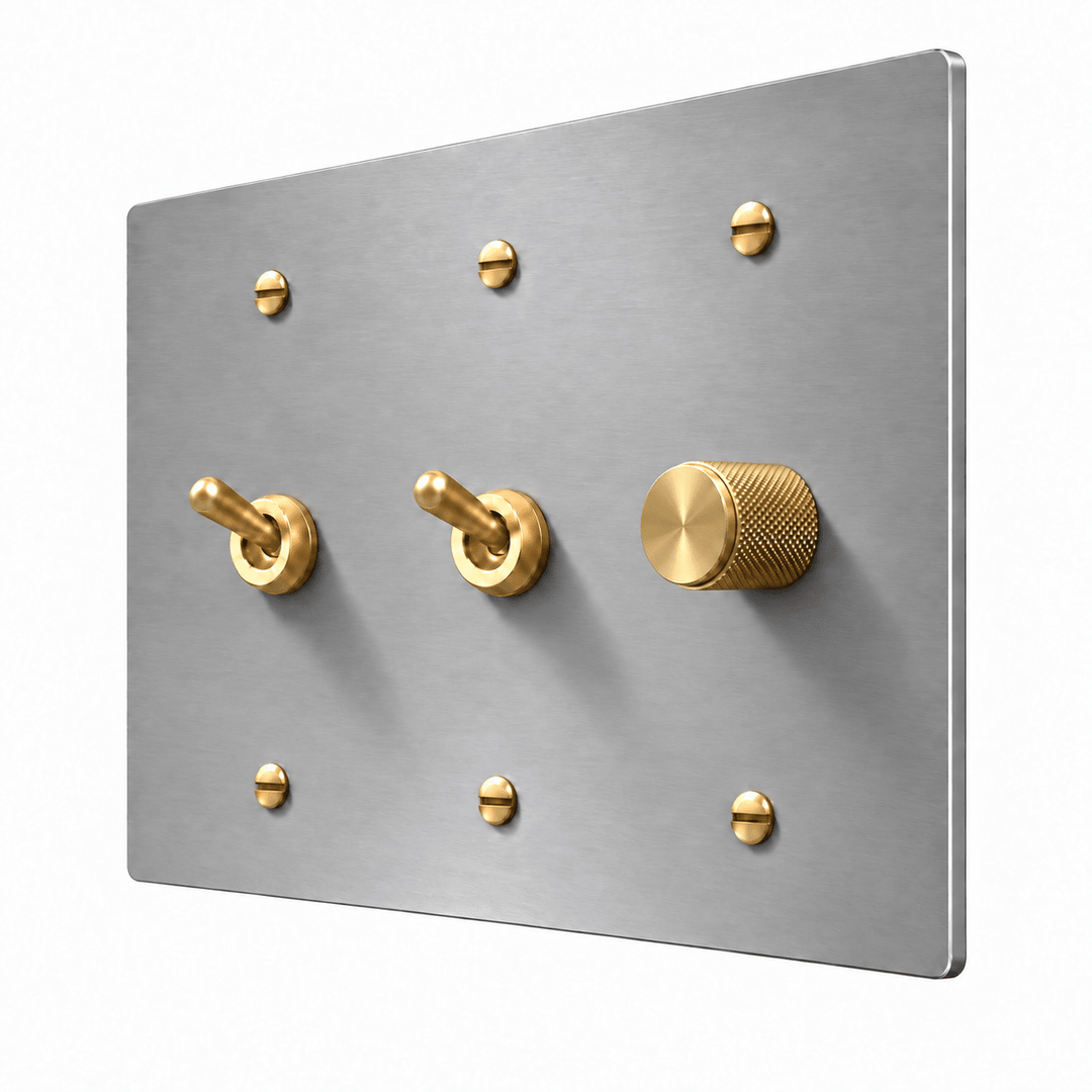 Stainless Steel / Brass 3-Gang 2 Retro Toggle Light Switches & Dimmer with brass controls and matching mounting screws
