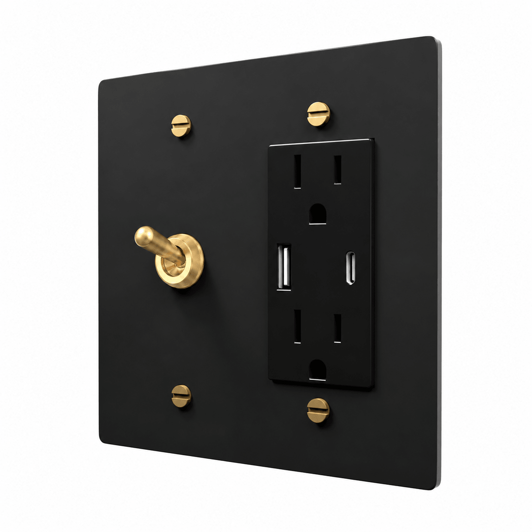 Black / Brass 2-gang retro toggle and USB-C outlet combination plate