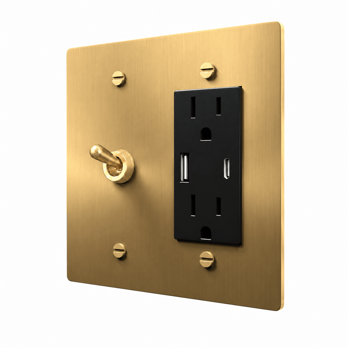 Brass 2-gang retro toggle and USB-C outlet combination plate