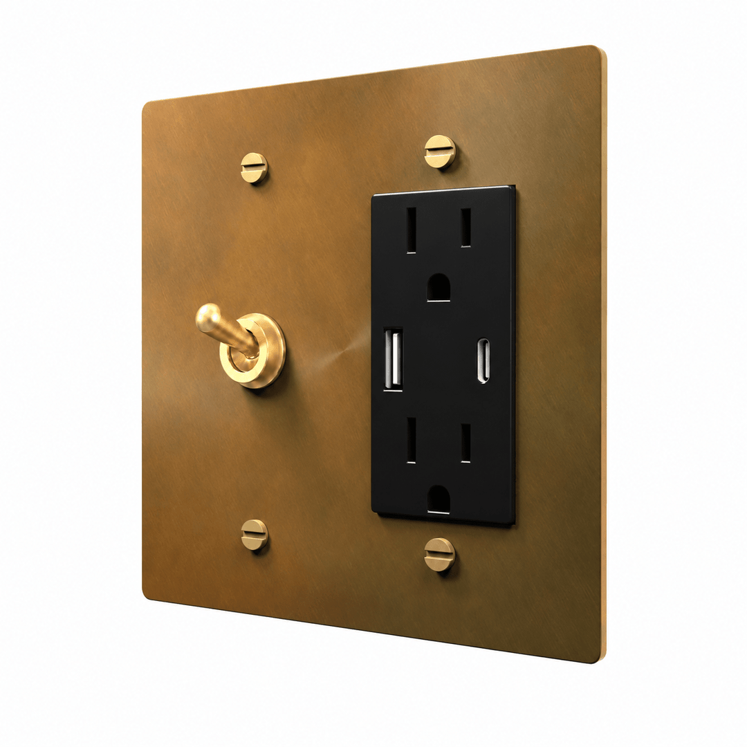 Unlacquered Aged brass 2-gang retro toggle and USB-C outlet combination plate