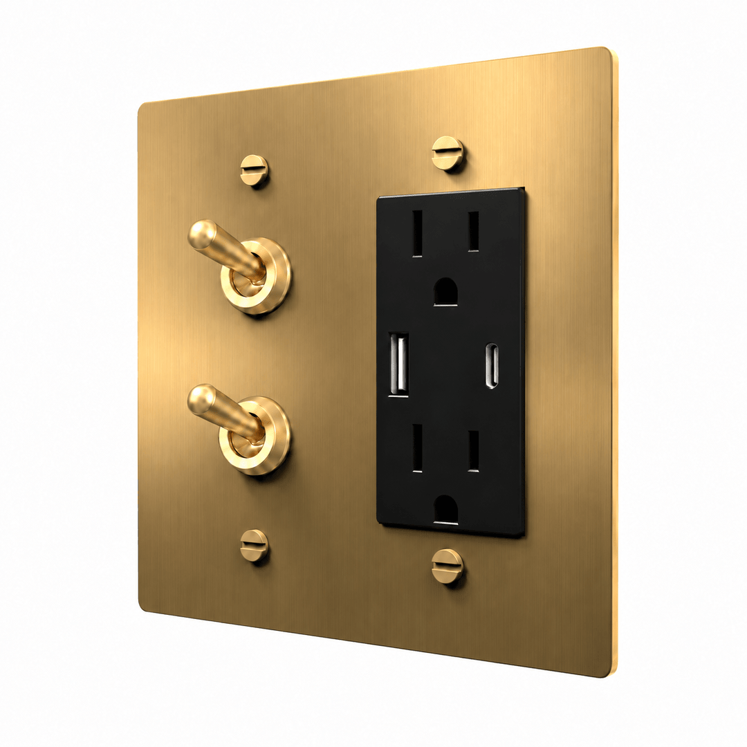 Brass 2-gang stacked retro toggles and USB-C + USB-A outlet combination plate