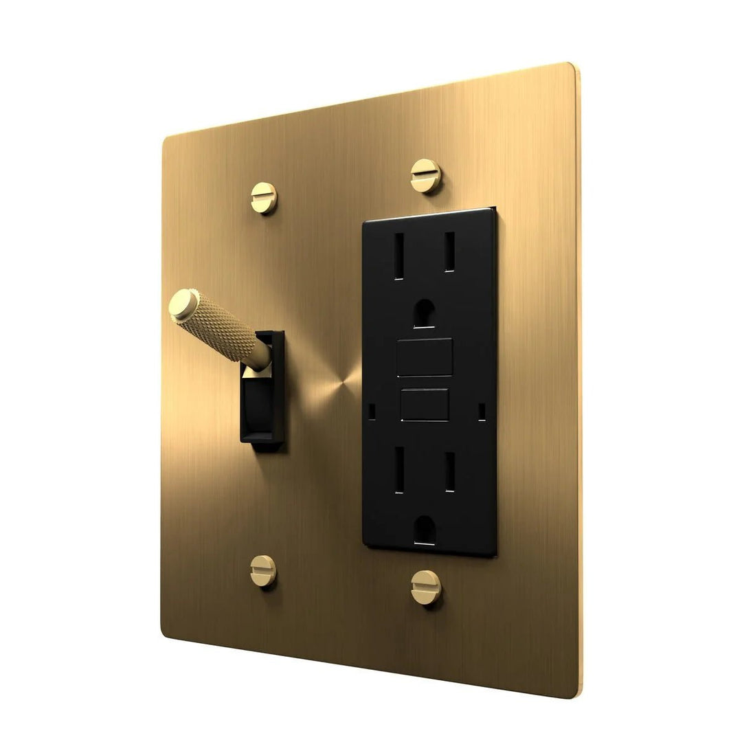 Brass Combo Plate - Electrical Toggle and Outlet