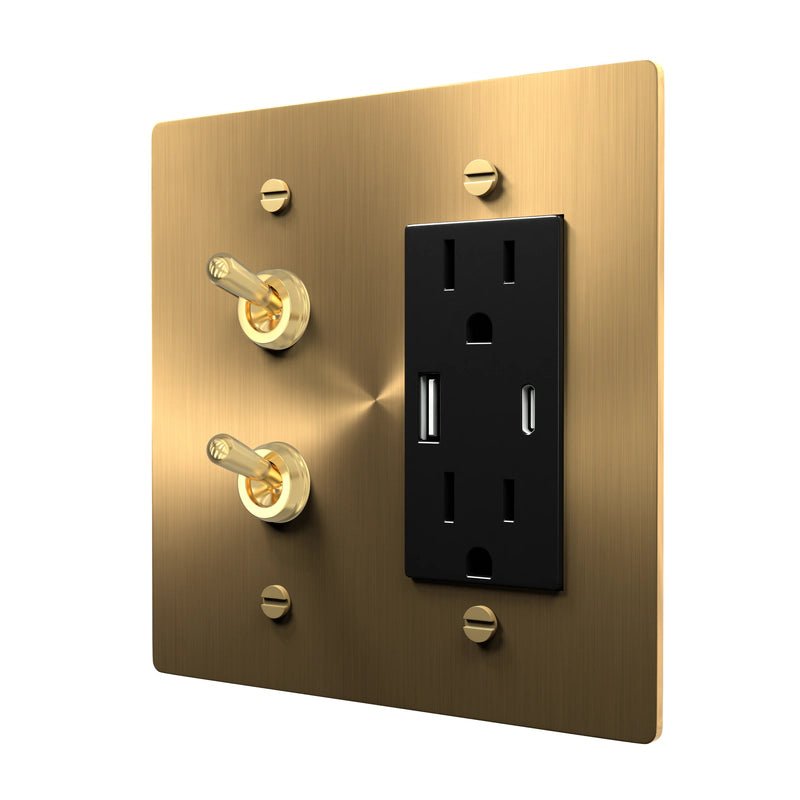 Elegant Brass Switch Plate - Double Toggle Design