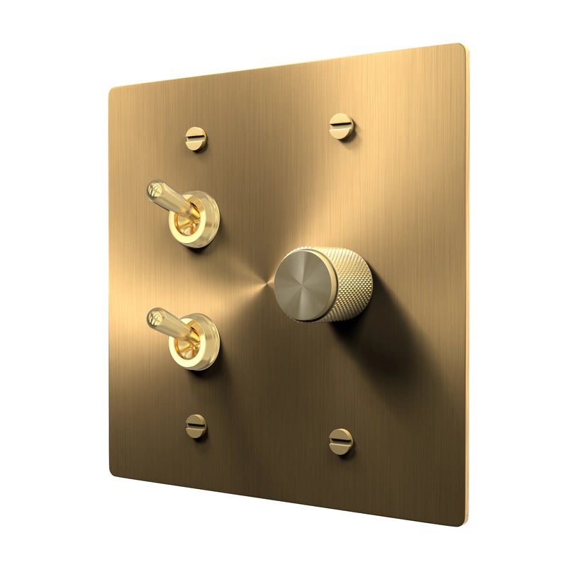 Vintage Brass Plate - Toggle and Dimmer Combo