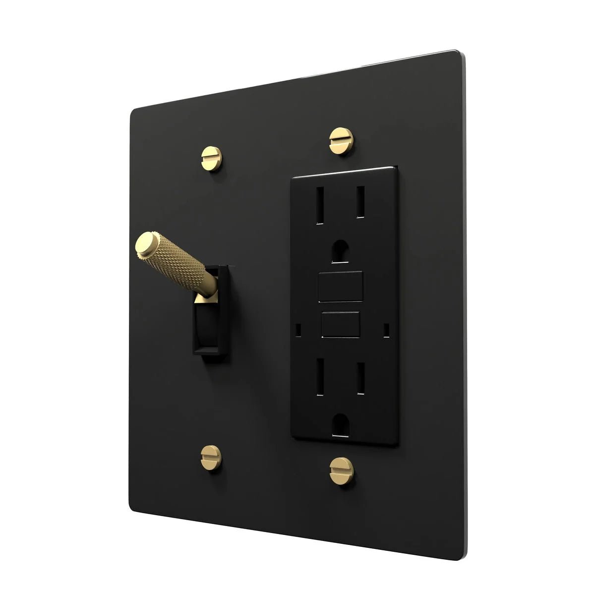 Brass Electrical Plate - Toggle + Socket Combo