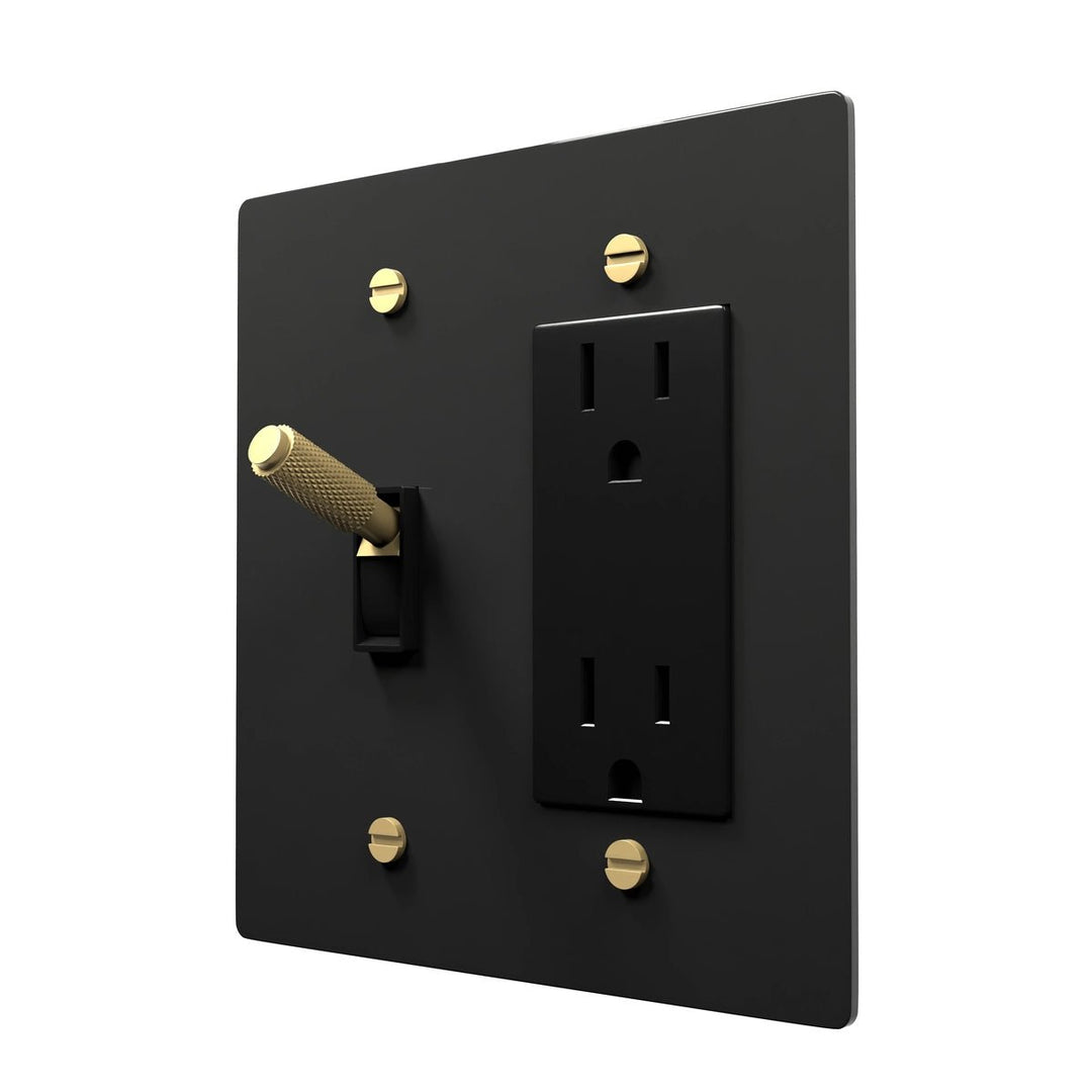 Dual Slot Brass Plate - Toggle + Outlet Combo