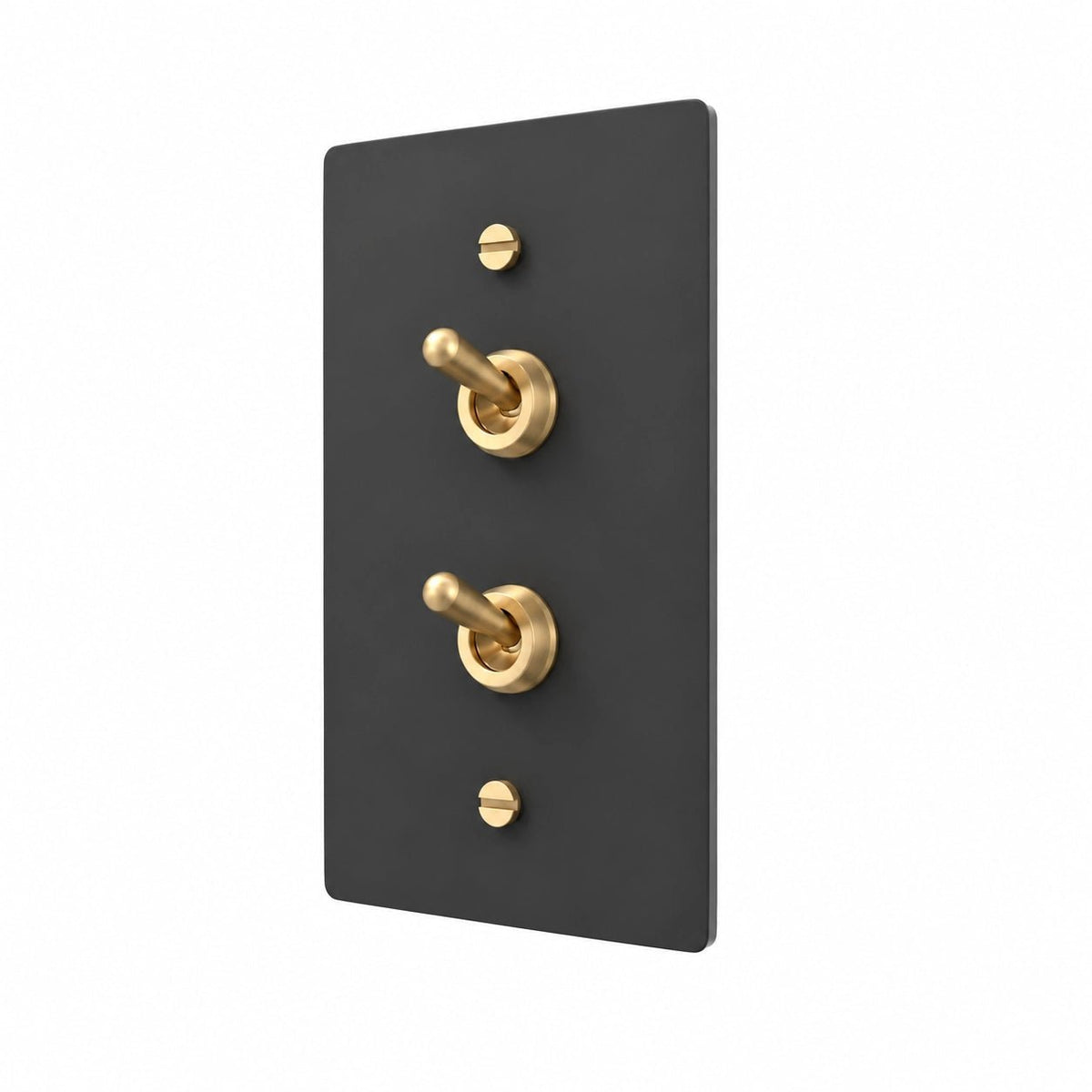 A modern wall-mounted double toggle switch plate in matte black with polished brass handles and mounting screws, shown on a clean white background.
