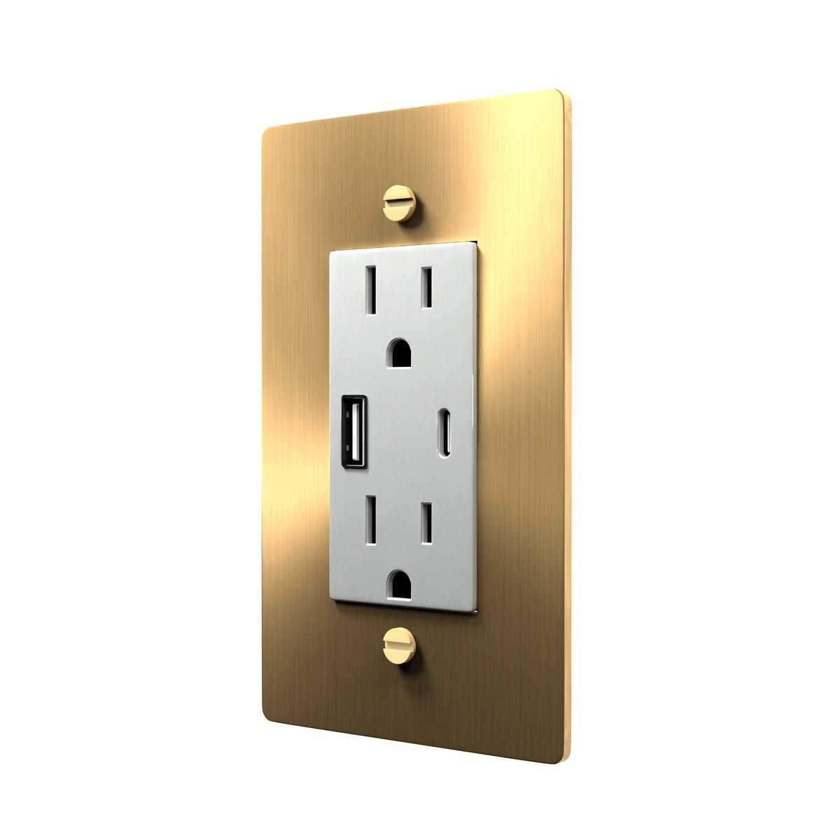Standard Electrical Outlet - Dual Socket