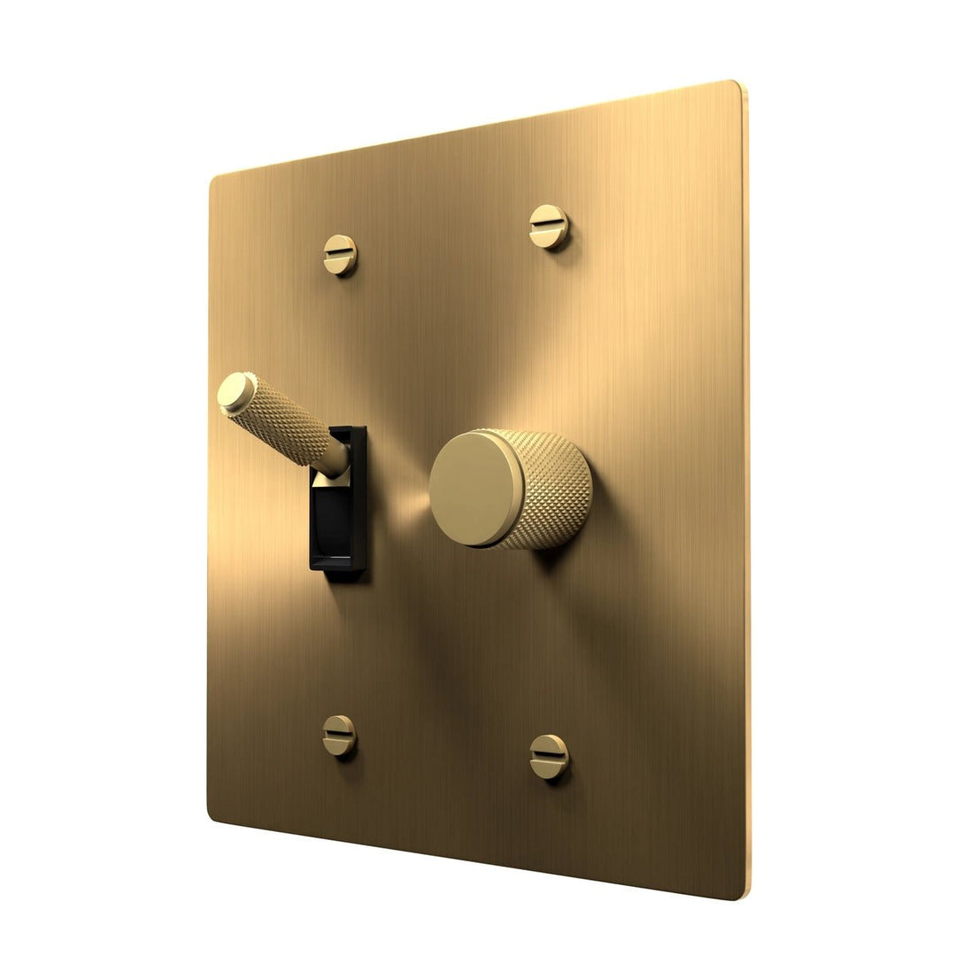Brass Toggle & Dimmer Combo Switch Plate