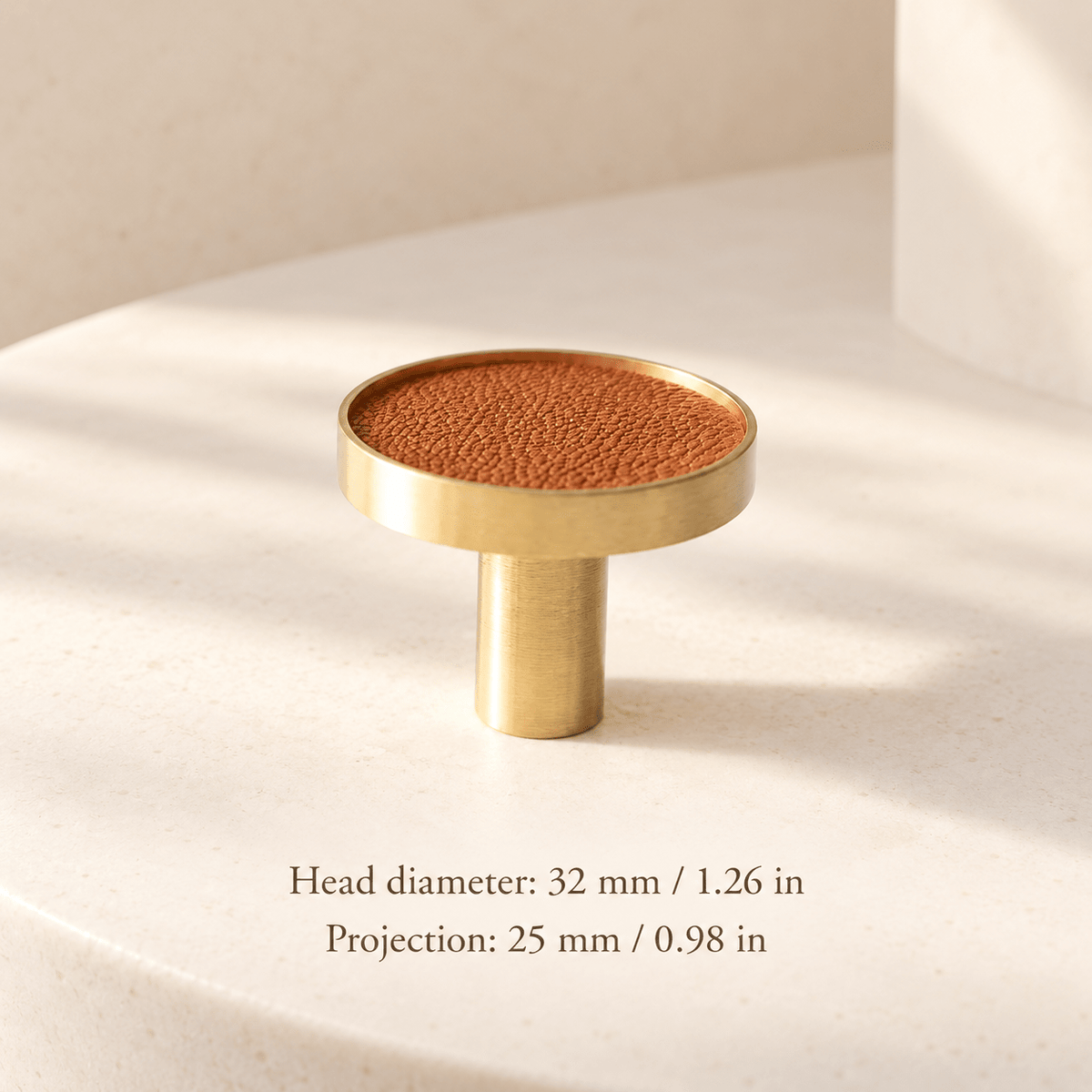 Tan leather and gold cabinet round knob in ivory studio. Head diameter: 32 mm / 1.26 in; Projection: 25 mm / 0.98 in