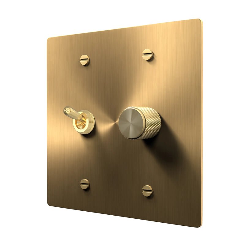 Retro Brass Switch Plate - Toggle and Dimmer Cover