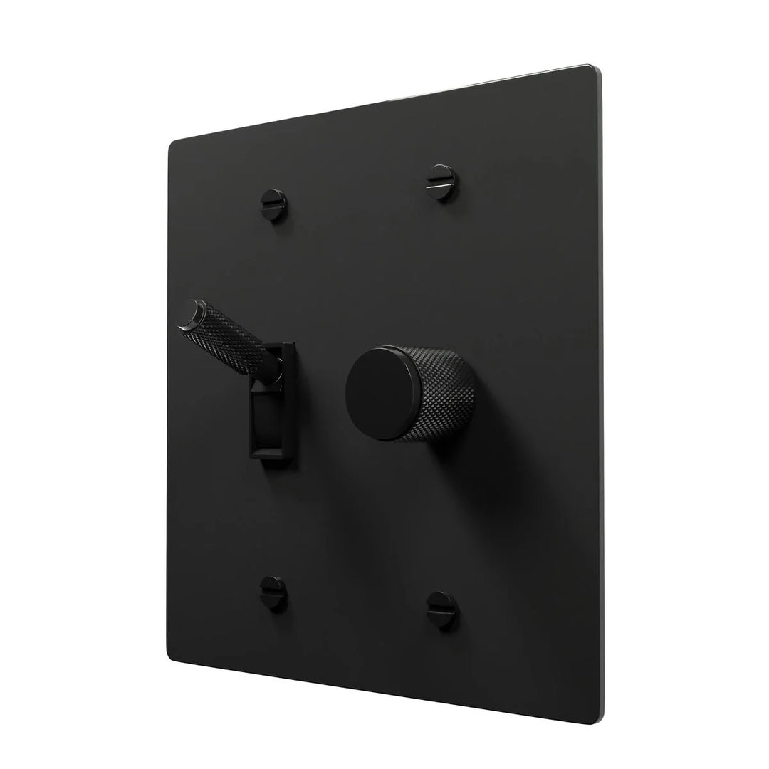 Brass Toggle Switch Plate with Dimmer Dial