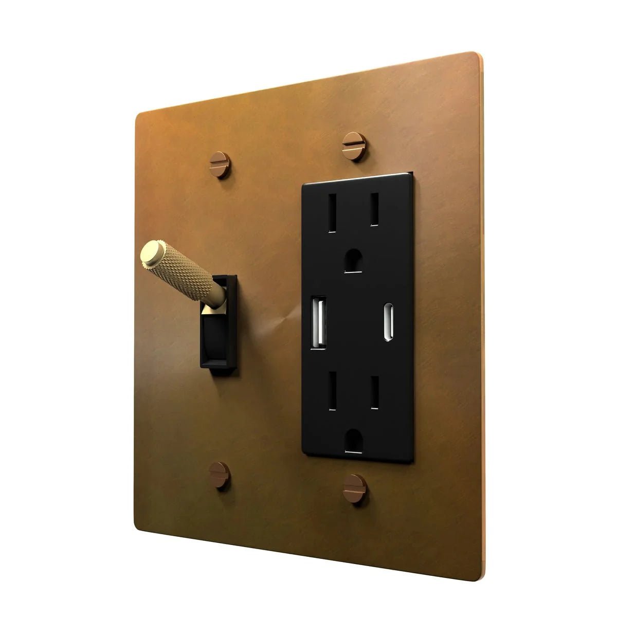 Brass Toggle and Power Outlet Combo Plate