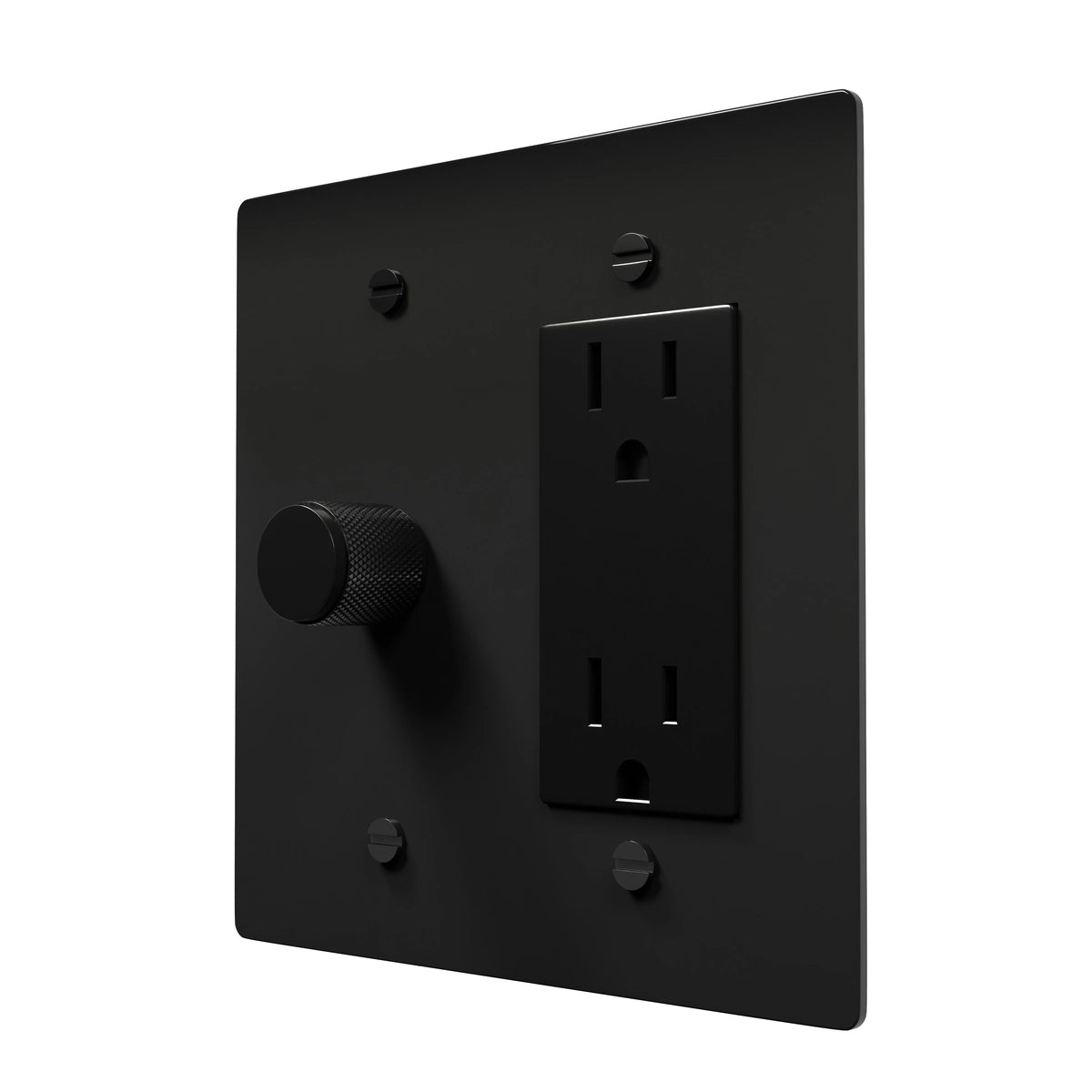 Retro Style Brass Combo Plate - Dimmer & Socket