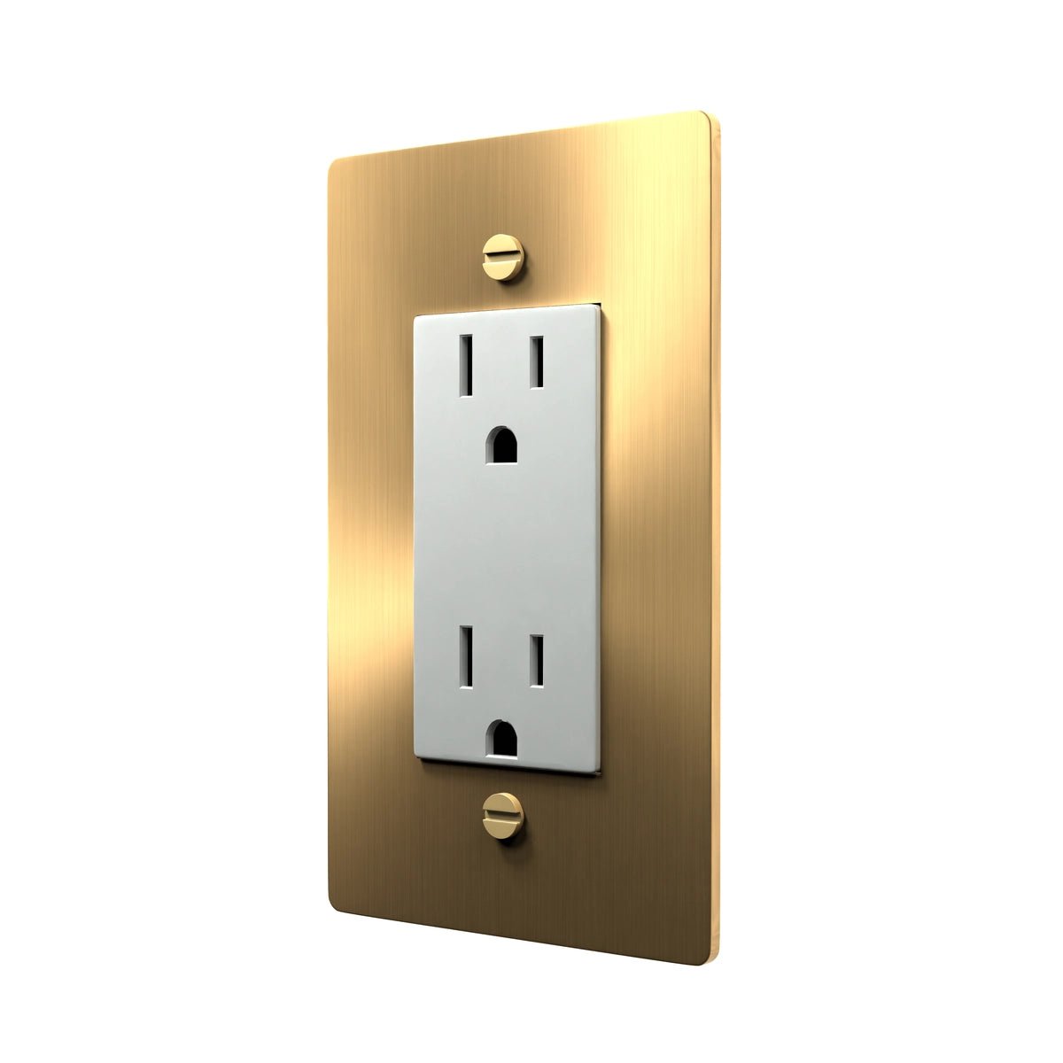 Electrical Wall Outlet - Duplex Receptacle